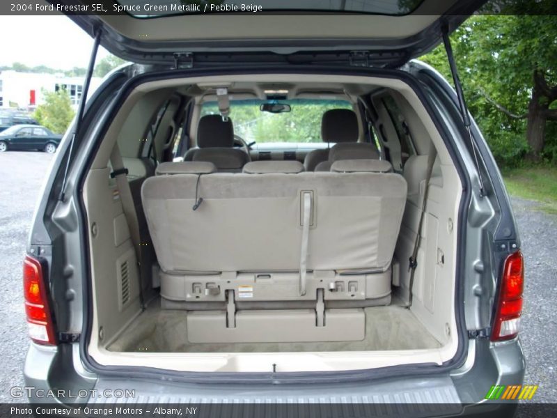 Spruce Green Metallic / Pebble Beige 2004 Ford Freestar SEL