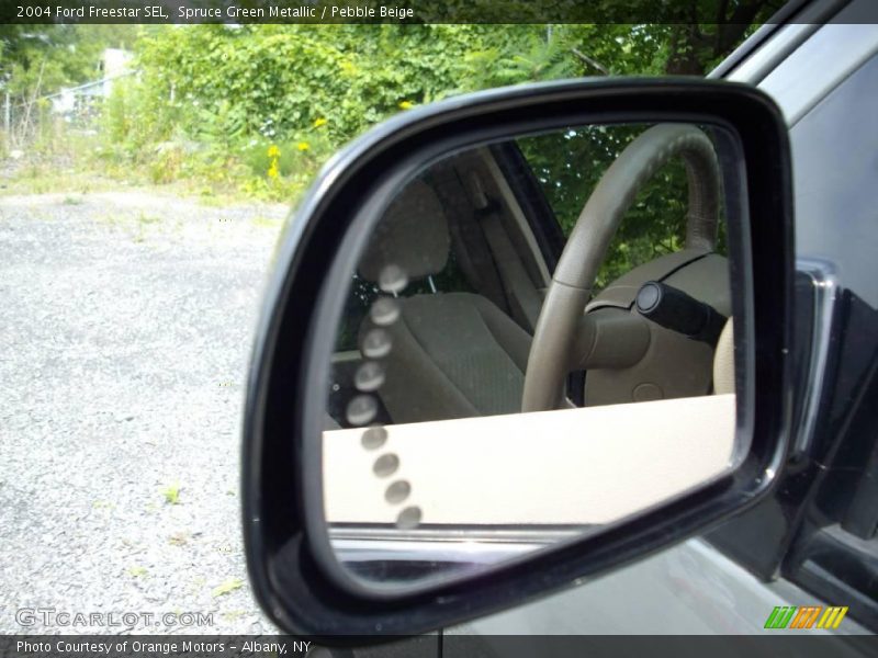 Spruce Green Metallic / Pebble Beige 2004 Ford Freestar SEL