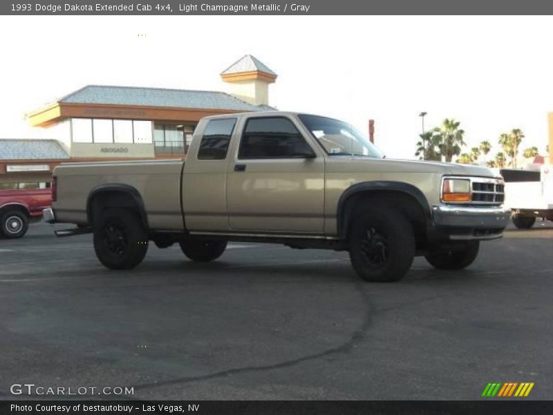 Light Champagne Metallic / Gray 1993 Dodge Dakota Extended Cab 4x4