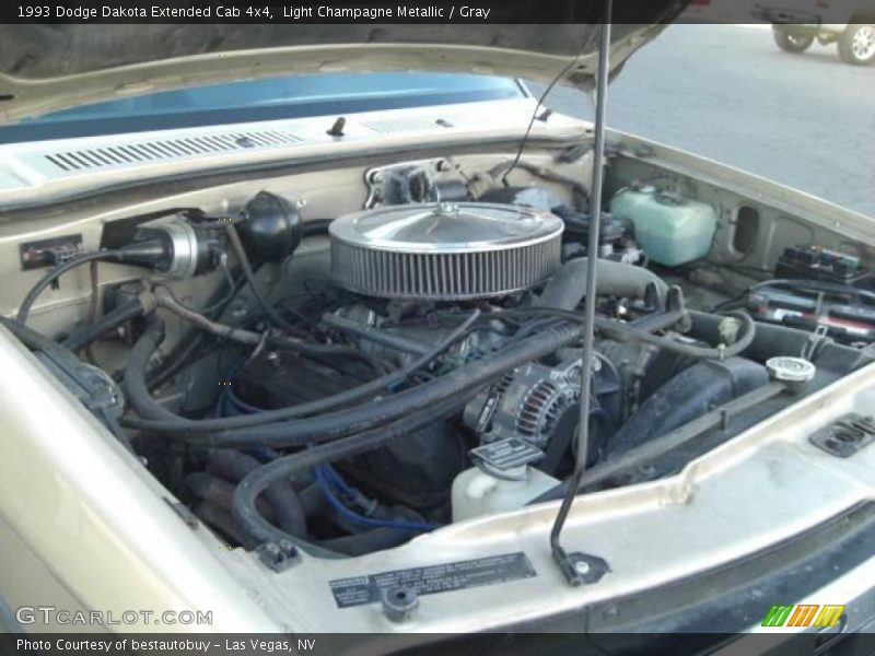 Light Champagne Metallic / Gray 1993 Dodge Dakota Extended Cab 4x4
