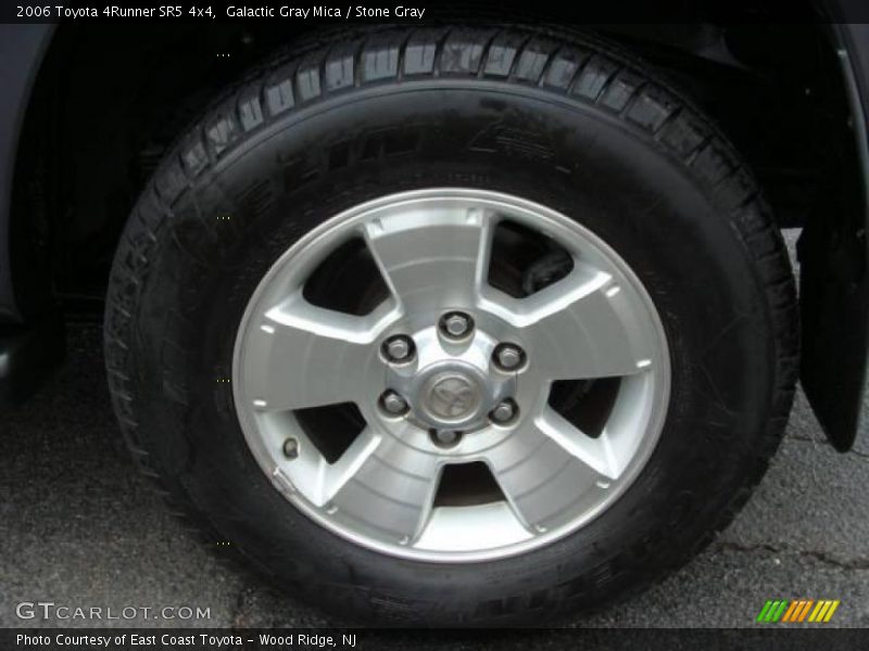 Galactic Gray Mica / Stone Gray 2006 Toyota 4Runner SR5 4x4