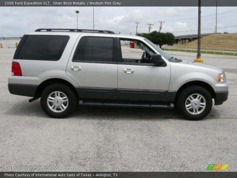 Silver Birch Metallic / Medium Flint Grey 2006 Ford Expedition XLT