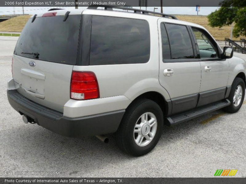Silver Birch Metallic / Medium Flint Grey 2006 Ford Expedition XLT