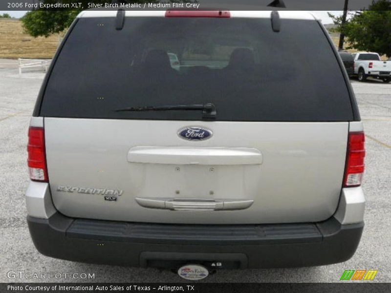 Silver Birch Metallic / Medium Flint Grey 2006 Ford Expedition XLT