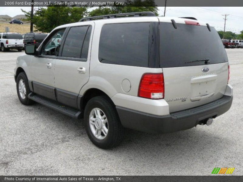 Silver Birch Metallic / Medium Flint Grey 2006 Ford Expedition XLT