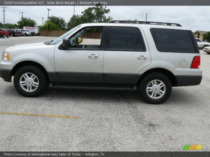 Silver Birch Metallic / Medium Flint Grey 2006 Ford Expedition XLT