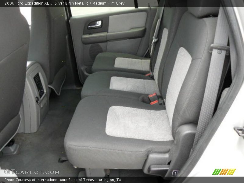 Silver Birch Metallic / Medium Flint Grey 2006 Ford Expedition XLT