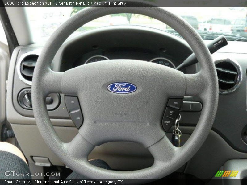 Silver Birch Metallic / Medium Flint Grey 2006 Ford Expedition XLT