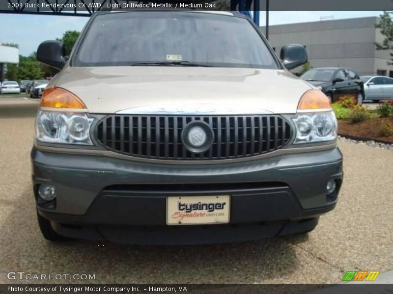 Light Driftwood Metallic / Medium Oak 2003 Buick Rendezvous CX AWD