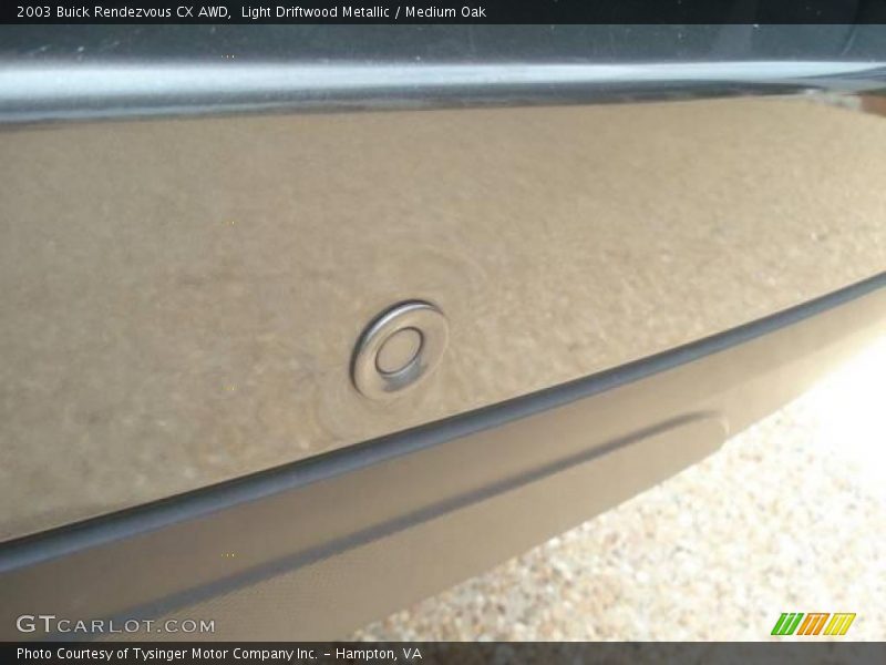 Light Driftwood Metallic / Medium Oak 2003 Buick Rendezvous CX AWD