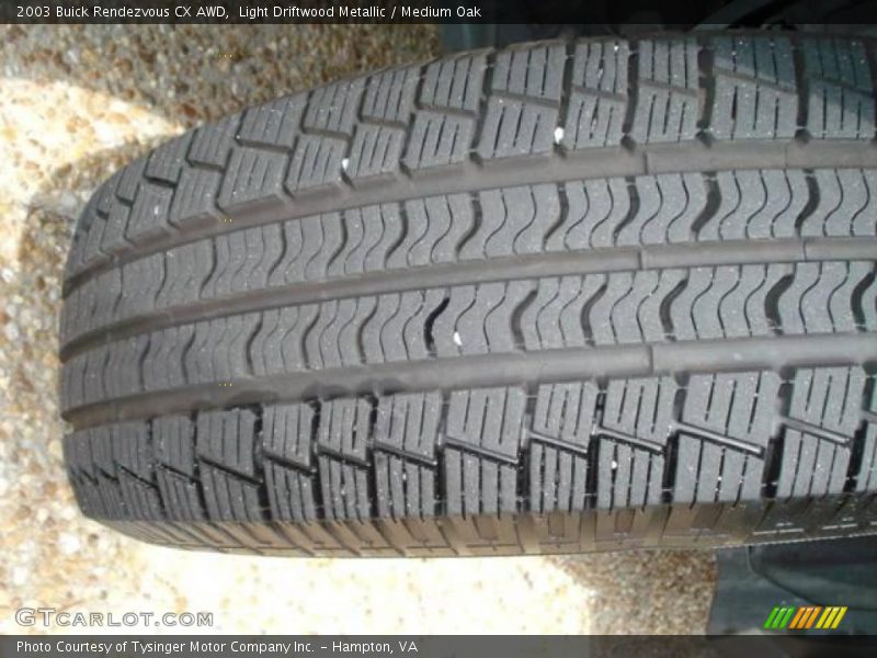 Light Driftwood Metallic / Medium Oak 2003 Buick Rendezvous CX AWD