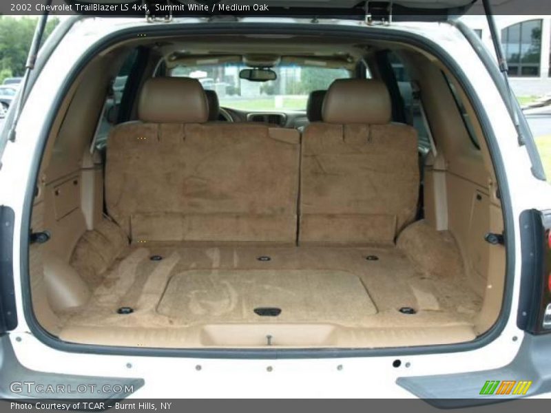 Summit White / Medium Oak 2002 Chevrolet TrailBlazer LS 4x4