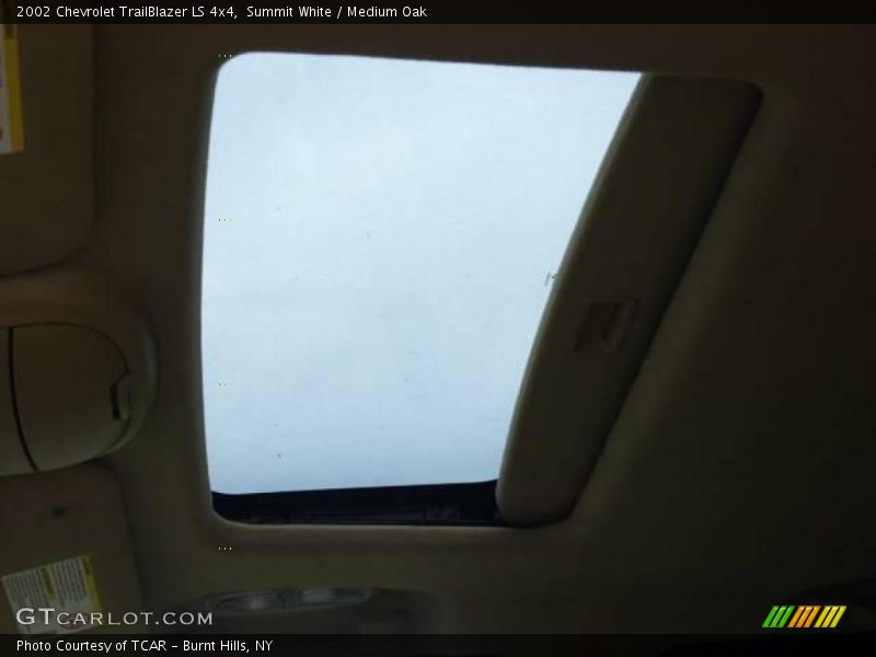 Summit White / Medium Oak 2002 Chevrolet TrailBlazer LS 4x4