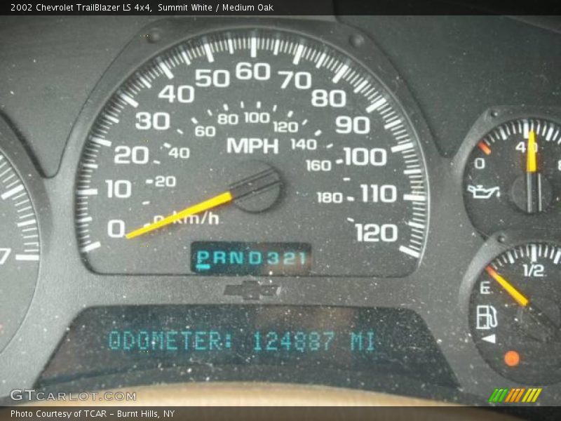 Summit White / Medium Oak 2002 Chevrolet TrailBlazer LS 4x4