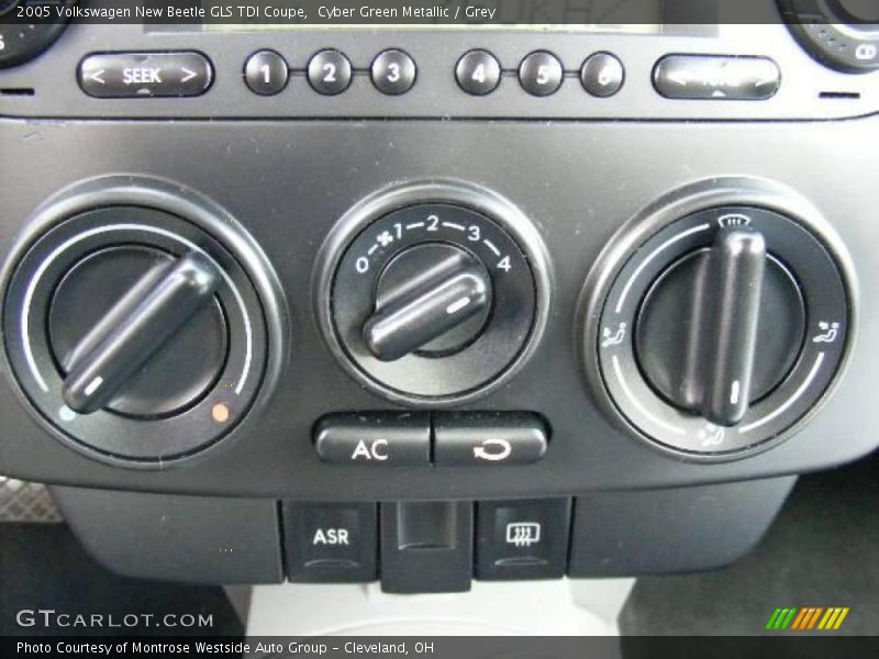 Cyber Green Metallic / Grey 2005 Volkswagen New Beetle GLS TDI Coupe
