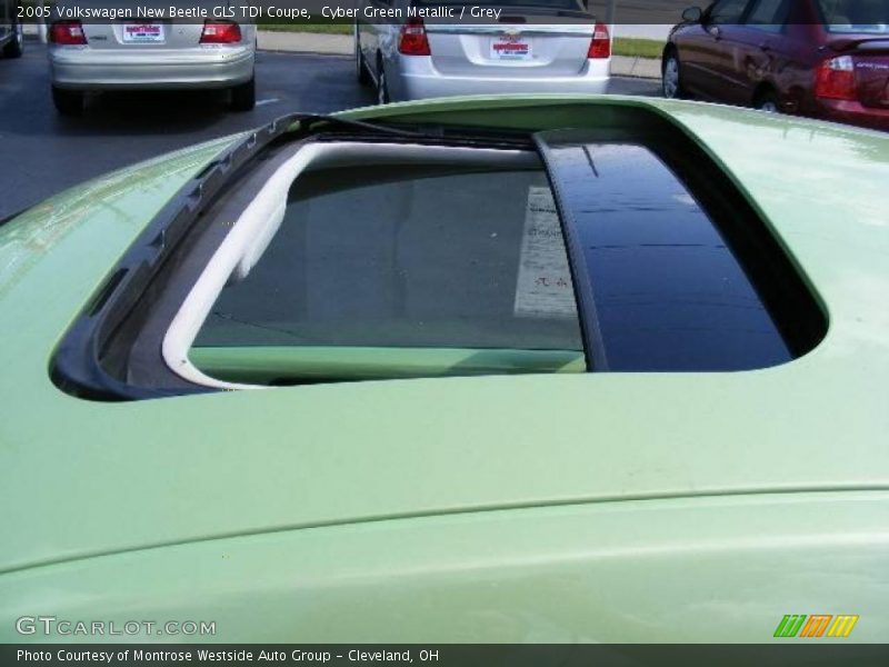 Cyber Green Metallic / Grey 2005 Volkswagen New Beetle GLS TDI Coupe