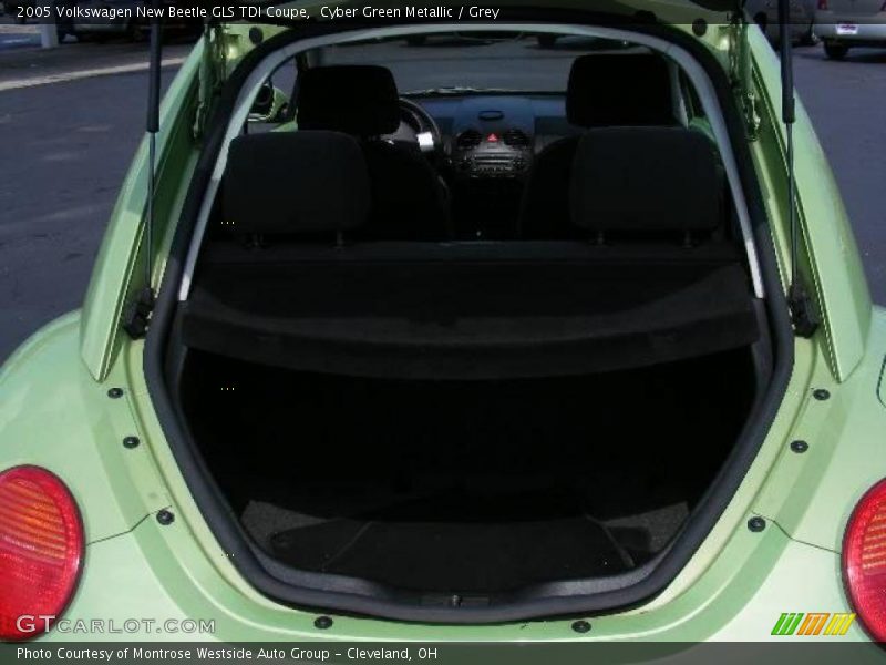 Cyber Green Metallic / Grey 2005 Volkswagen New Beetle GLS TDI Coupe