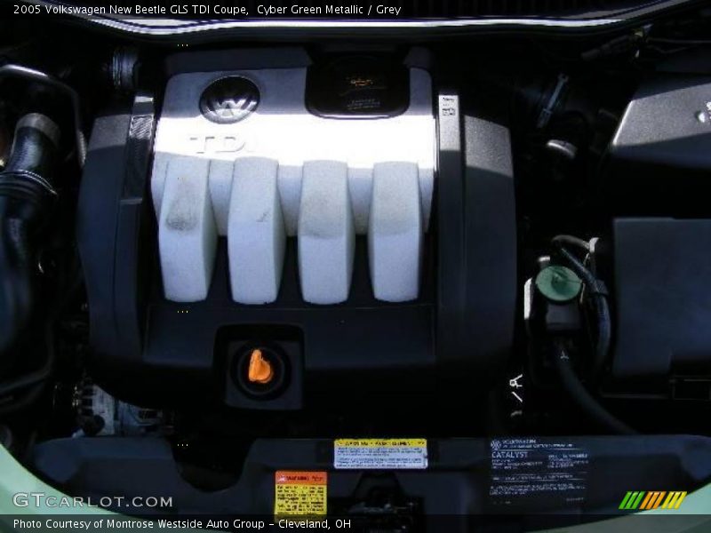 Cyber Green Metallic / Grey 2005 Volkswagen New Beetle GLS TDI Coupe