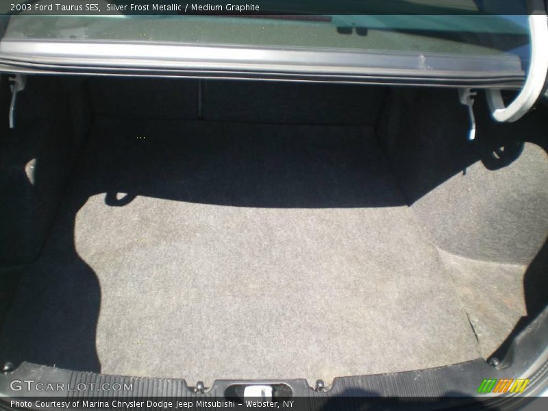 Silver Frost Metallic / Medium Graphite 2003 Ford Taurus SES