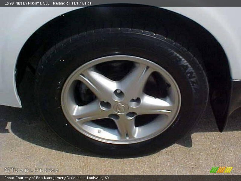 Icelandic Pearl / Beige 1999 Nissan Maxima GLE