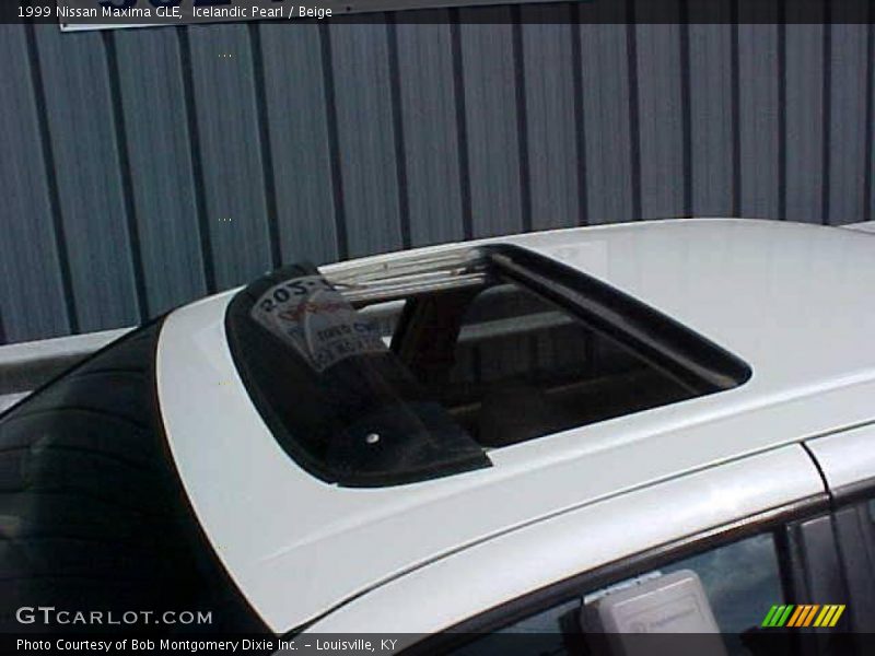 Icelandic Pearl / Beige 1999 Nissan Maxima GLE