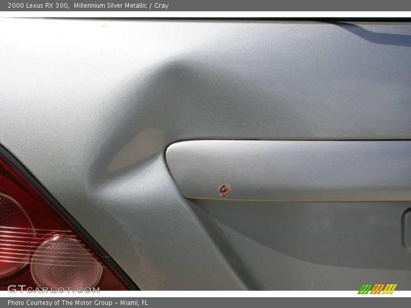 Millennium Silver Metallic / Gray 2000 Lexus RX 300