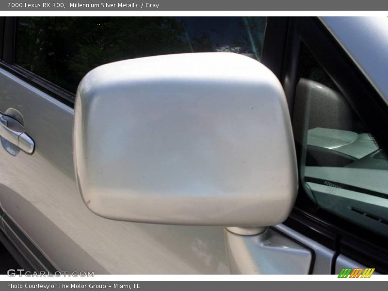 Millennium Silver Metallic / Gray 2000 Lexus RX 300