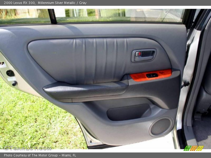 Millennium Silver Metallic / Gray 2000 Lexus RX 300