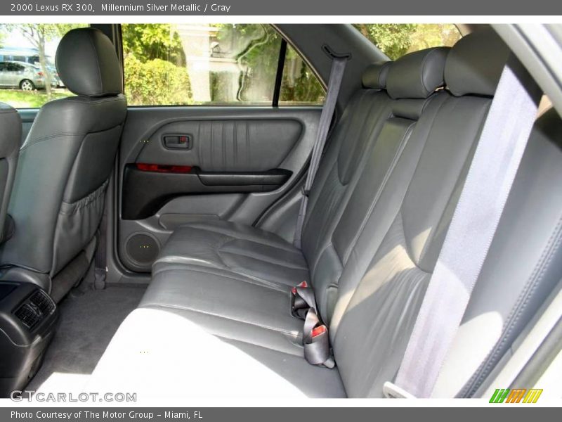 Millennium Silver Metallic / Gray 2000 Lexus RX 300