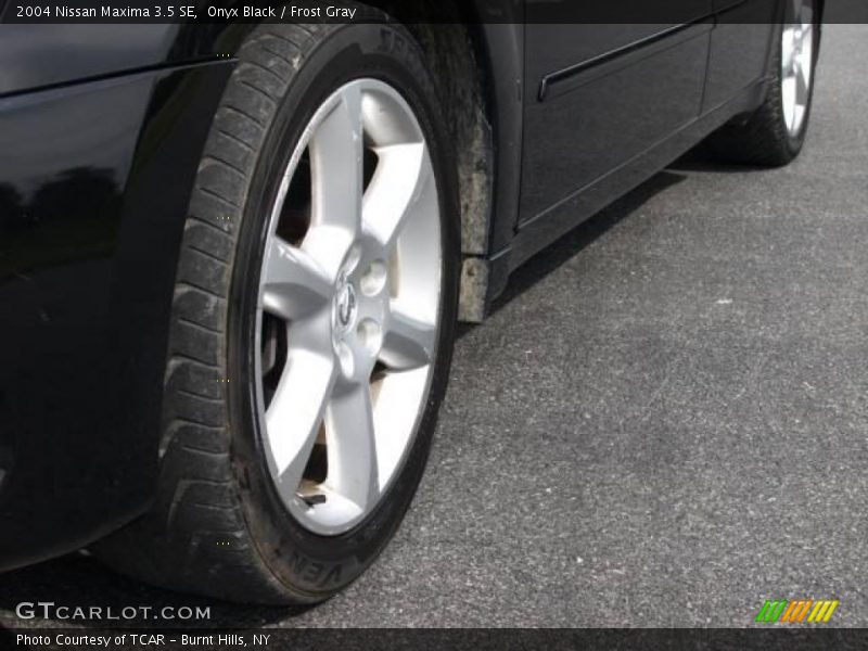 Onyx Black / Frost Gray 2004 Nissan Maxima 3.5 SE