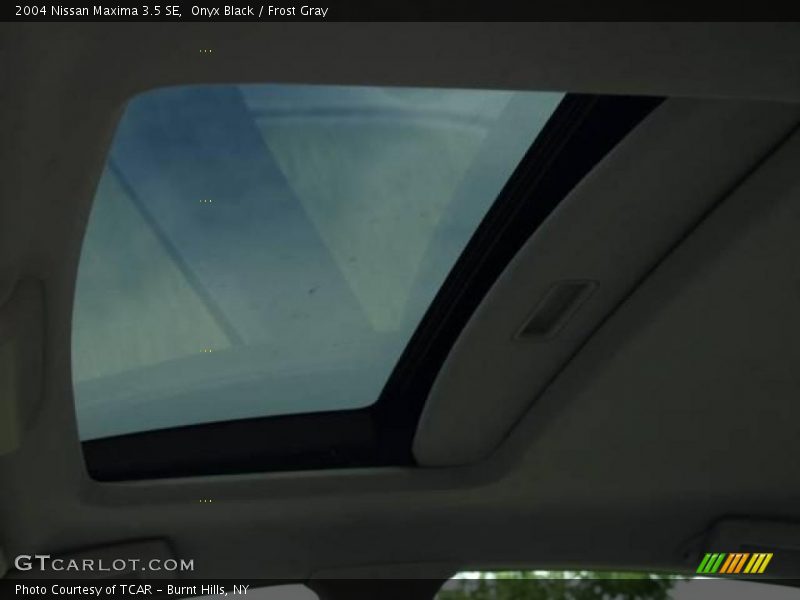 Onyx Black / Frost Gray 2004 Nissan Maxima 3.5 SE