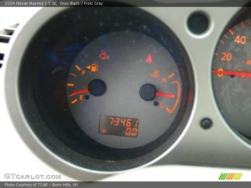 Onyx Black / Frost Gray 2004 Nissan Maxima 3.5 SE