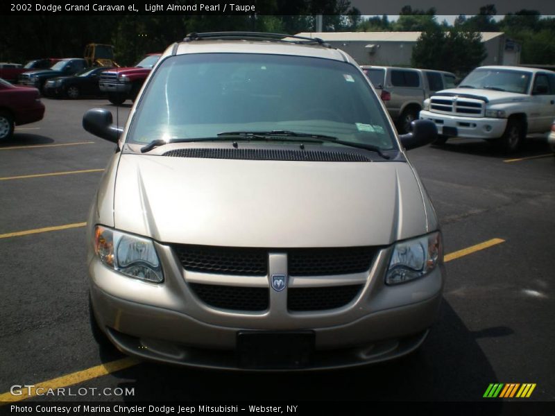Light Almond Pearl / Taupe 2002 Dodge Grand Caravan eL