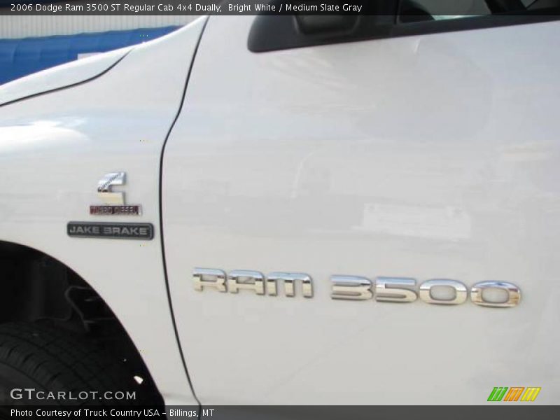 Bright White / Medium Slate Gray 2006 Dodge Ram 3500 ST Regular Cab 4x4 Dually