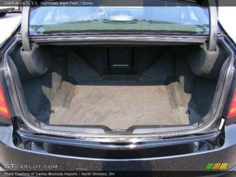 Nighthawk Black Pearl / Ebony 2004 Acura TL 3.2