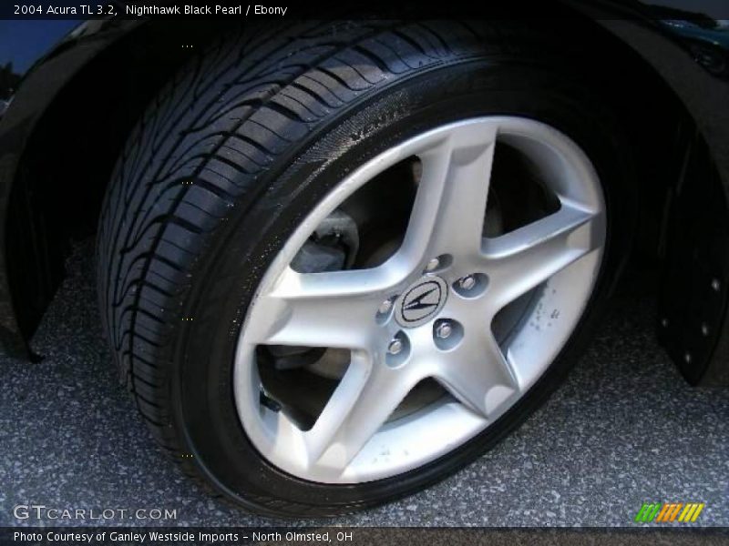Nighthawk Black Pearl / Ebony 2004 Acura TL 3.2