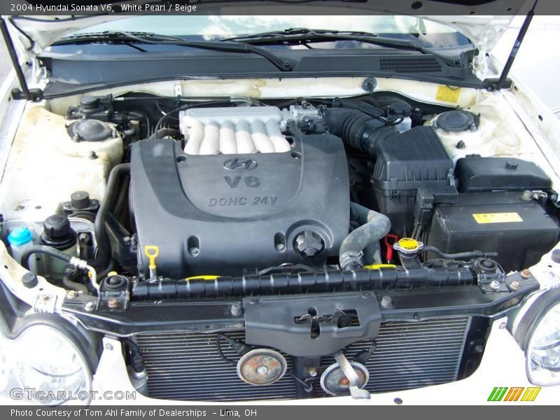 White Pearl / Beige 2004 Hyundai Sonata V6