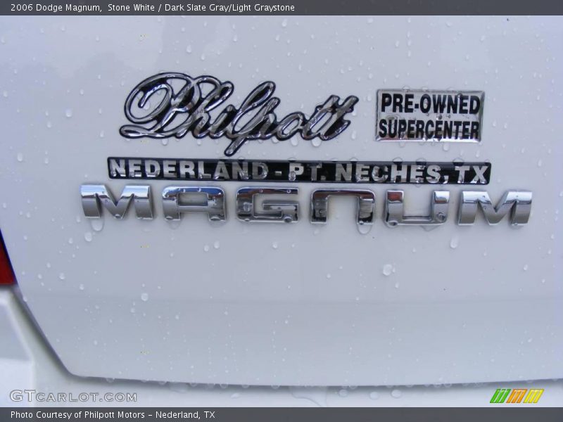 Stone White / Dark Slate Gray/Light Graystone 2006 Dodge Magnum