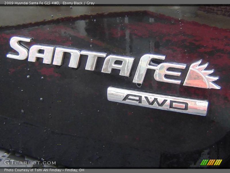 Ebony Black / Gray 2009 Hyundai Santa Fe GLS 4WD