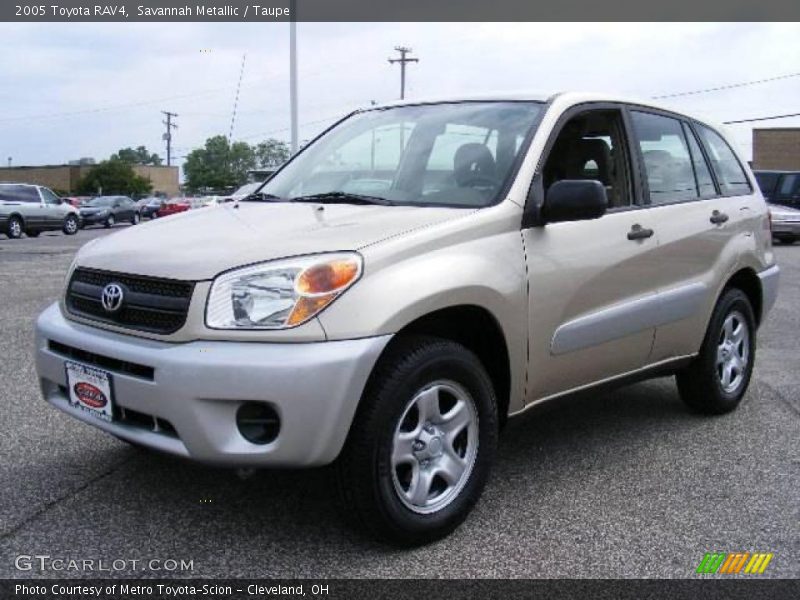 Savannah Metallic / Taupe 2005 Toyota RAV4