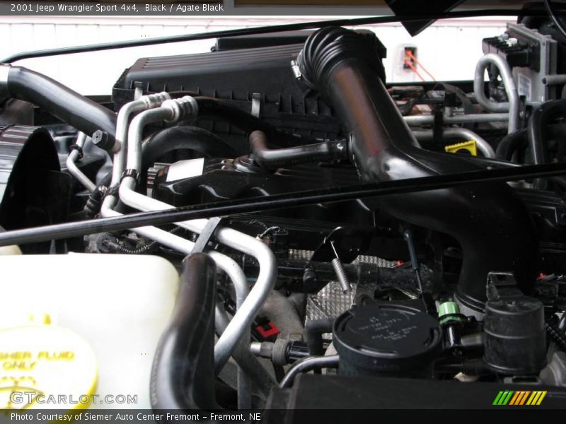Black / Agate Black 2001 Jeep Wrangler Sport 4x4
