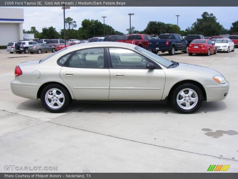 Gold Ash Metallic / Medium/Dark Pebble Beige 2006 Ford Taurus SE
