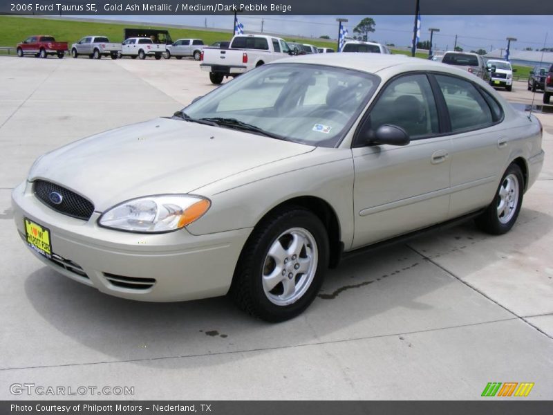 Gold Ash Metallic / Medium/Dark Pebble Beige 2006 Ford Taurus SE