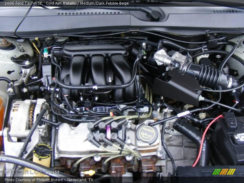 Gold Ash Metallic / Medium/Dark Pebble Beige 2006 Ford Taurus SE