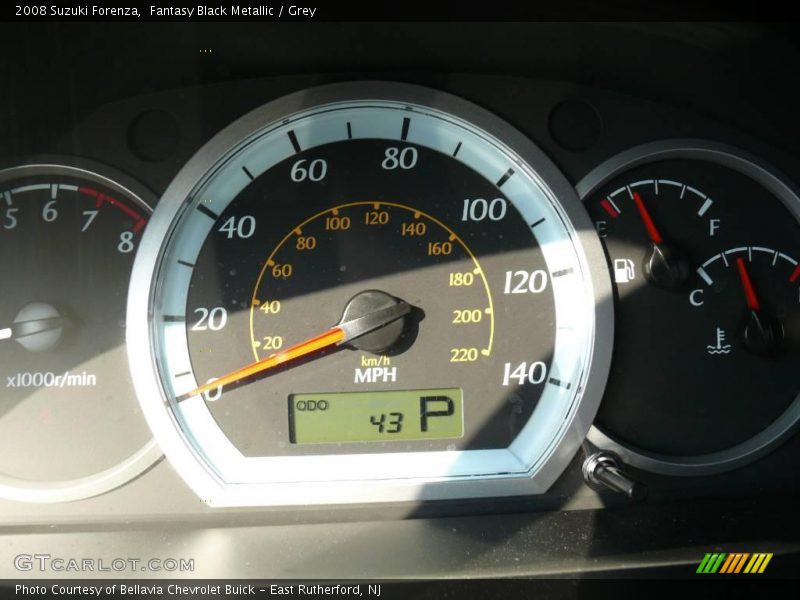 Fantasy Black Metallic / Grey 2008 Suzuki Forenza