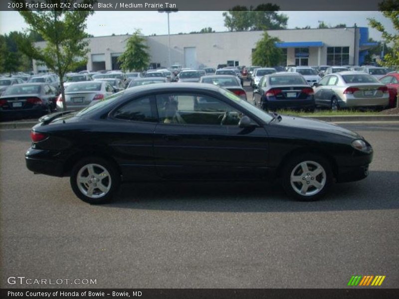 Black / Medium Prairie Tan 2003 Ford Escort ZX2 Coupe