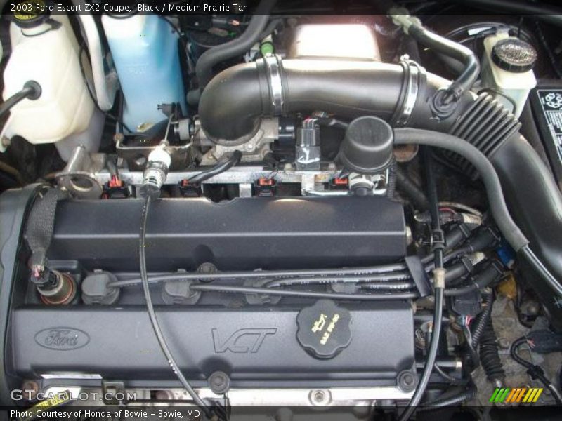 Black / Medium Prairie Tan 2003 Ford Escort ZX2 Coupe