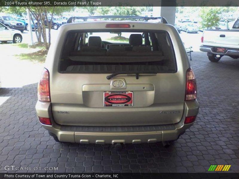 Dorado Gold Pearl / Taupe 2004 Toyota 4Runner SR5