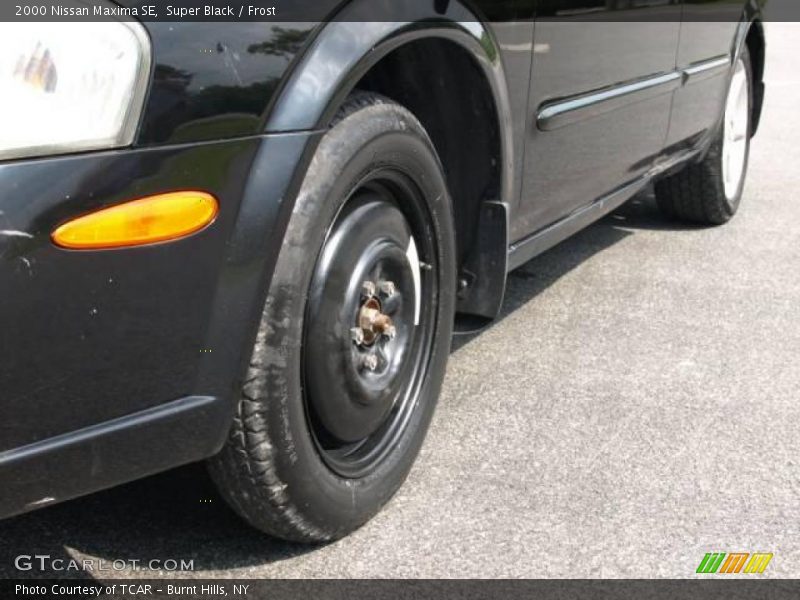 Super Black / Frost 2000 Nissan Maxima SE