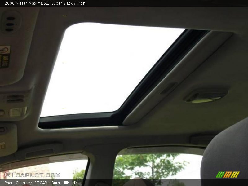 Super Black / Frost 2000 Nissan Maxima SE